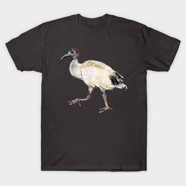 Sacred Ibis T-Shirt by Lunatic Painter